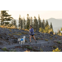 Ruffwear Trail Runner Belt Blue Pool S-M