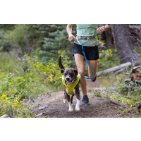 Ruffwear Trail Runner Belt Lichen Green S-M