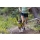 Ruffwear Trail Runner Belt Lichen Green S-M