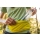 Ruffwear Trail Runner Belt Lichen Green S-M