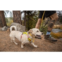 Ruffwear Hi & Light Geschirr Lichen Green L-XL