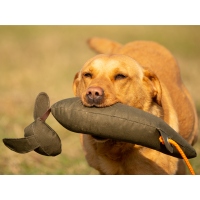 Mystique Rabbit dog dummy khaki L