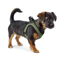 HUNTER Geschirr Hilo Comfort Lindgrün