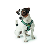 HUNTER Geschirr Hilo Comfort Türkis