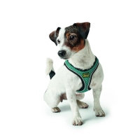 HUNTER Geschirr Hilo Comfort Türkis