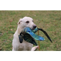 Cover Dead Bird Dummy