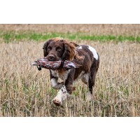 Sporting Saint Dummy Bird Rebhuhn 300g