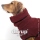 Dryup Cape bordeaux XS (48cm)