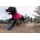 Ruffwear Hi & Light Trail Hundeschuhe River Rock Green