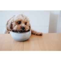 Hunter Keramiknapf Braga blau 1500ml