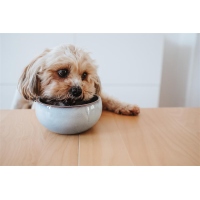 Hunter Keramiknapf Braga blau 310ml