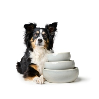 Hunter Keramiknapf Lisboa creme 550ml