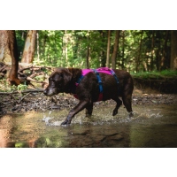 Ruffwear Flagline Geschirr Alpenglow Pink