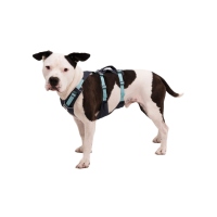 Ruffwear Flagline Geschirr Basalt Gray XS