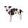 Ruffwear Flagline Geschirr Basalt Gray XS