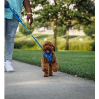 Ruffwear Front Range Geschirr Blue Pool