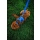 Ruffwear Front Range Geschirr Blue Pool