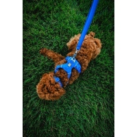 Ruffwear Front Range Geschirr Blue Pool M