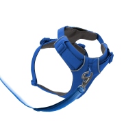 Ruffwear Front Range Geschirr Blue Pool M