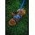 Ruffwear Front Range Geschirr Blue Pool M