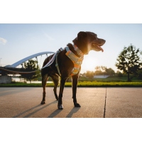 Ruffwear Front Range Geschirr Spring Mountains M