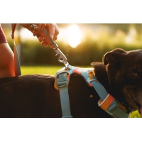 Ruffwear Front Range Geschirr Spring Mountains M