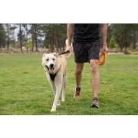 Ruffwear Front Range Kurzführer Crux Clip Basalt Gray