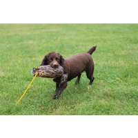 Sporting Saint Dummy Bird Flugfasan Henne 300g
