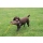 Sporting Saint Dummy Bird Flugfasan Henne 300g