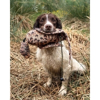 Sporting Saint Dead Bird Dummy Flugfasan Henne