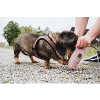 HUNTER Trainer Snackdummy mit Seil