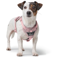 HUNTER Geschirr Divo Up altrosa L-XL