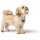 HUNTER Geschirr Divo Up taupe