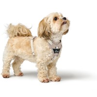 HUNTER Geschirr Divo Up taupe XS