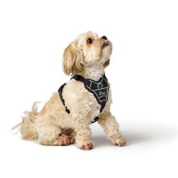 HUNTER Geschirr Divo Up schwarz L