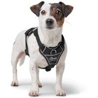HUNTER Geschirr Divo Up schwarz L
