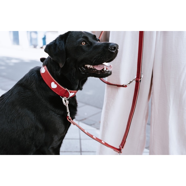 HUNTER Halsband Love - Marios Dogshop - nur das Beste fr Ihren  vierbeinigen Liebling