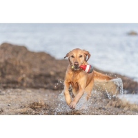 Trixie Aqua Toy Snack Boje