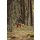 Pinewood 3480 Dog Sports Trainer Extreme Jacke Damen Mossgreen (135) S
