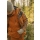Pinewood 5065 Finnveden Fleecejacke Fudge (273)