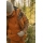 Pinewood 5065 Finnveden Fleecejacke Fudge (273) XXL