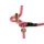 Mystique® Field trial Moxonleine Retrieverleine 6mm 150cm pink