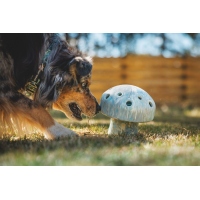 Ruffwear Porcini Spielzeug Blue Prism