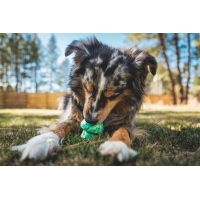 Ruffwear Toadstool Spielzeug Gray Sky