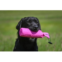Sporting Saint Dummy Standard 500g pink