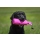 Dummy Standard 500g pink