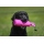 Sporting Saint Dummy Standard 500g pink