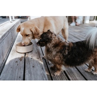 Hunter Keramiknapf Osby Glazed beige 2500ml