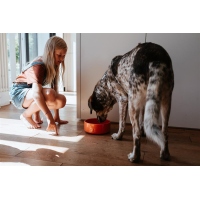 Hunter Keramiknapf Osby Glazed orange 350ml