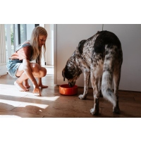 Hunter Keramiknapf Osby Glazed orange 350ml